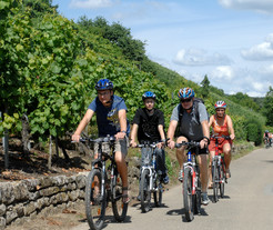 Eine Familie fährt mit dem Fahrrad durch die Weinberge 