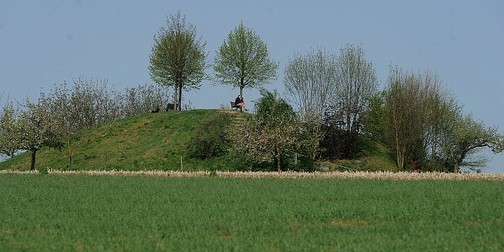 Ein Bild vom Milleniumshügel mit Bäumen und Sitzbänken.